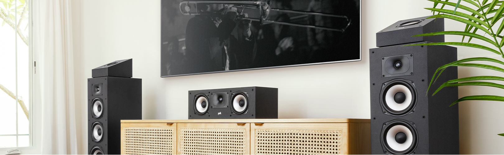 Polk Audio Speakers